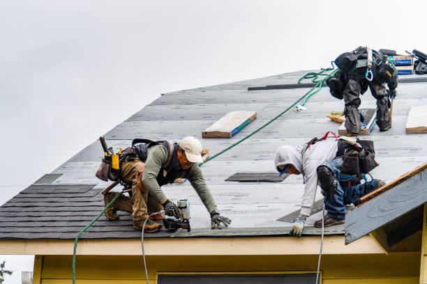 Professional Roofing technician working in Bardolph, IL